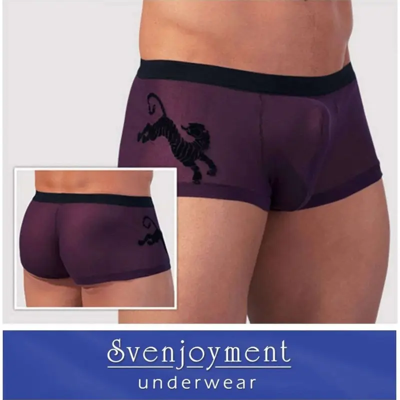 Boxer Dragon Svenjoyment