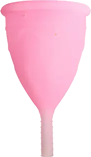 Eve Cup