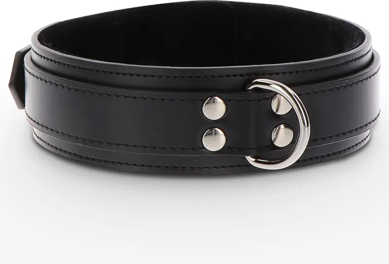 Heavy D-Ring Collar