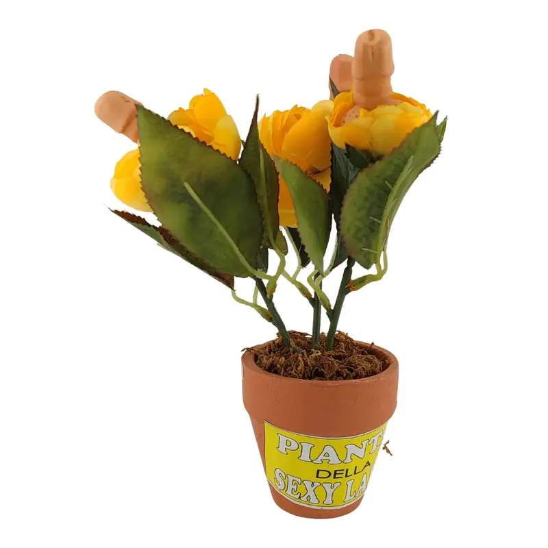 Piantina di fiori fallici SessoPerGioco