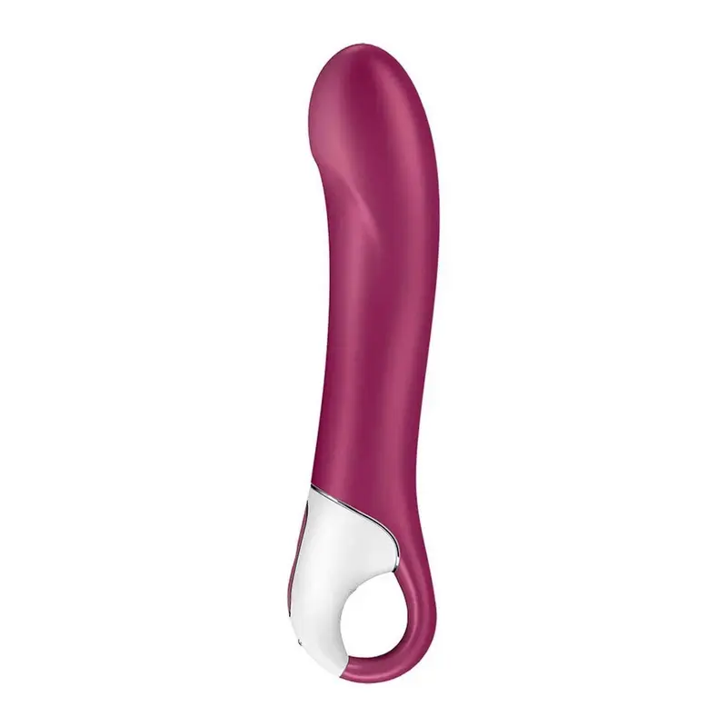 Satisfyer Big Heat Connect App bacca