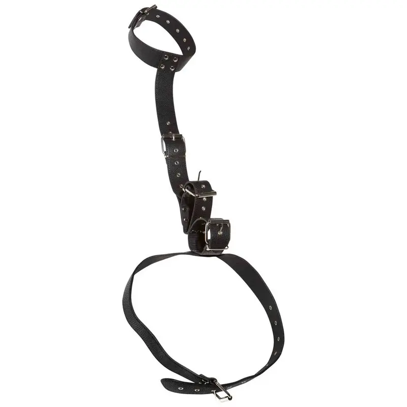 Set costrittivo Bad Kitty