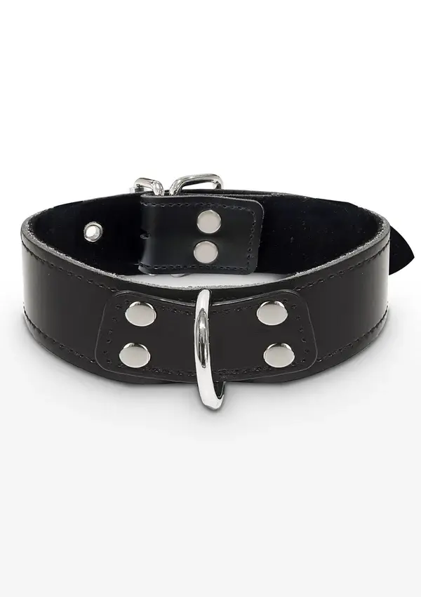 TABOOM - D-RING COLLAR