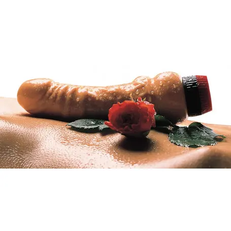 Vibratore vaginale anale realistico Natural Vibrator